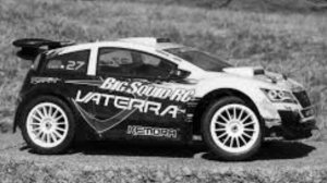 RC rally cars