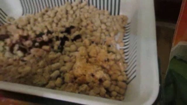 что купить для кота смотреть онлайн