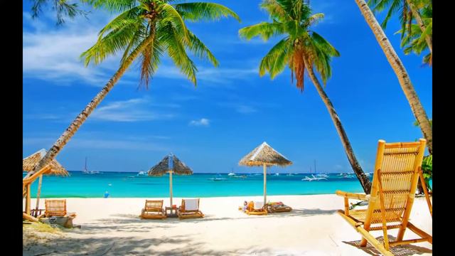 Котята Природа Пляж смотреть онлайн