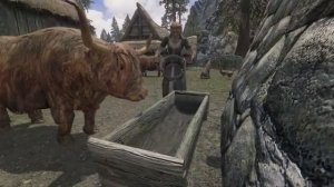 Skyrim Mods Para PC: Cidadãos E Guardas Imersivos