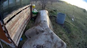 Консервация стен из газобетона на зиму. Уборка на участке. Подготовка дачи к зиме. Укрываю доски.