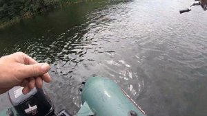 Лучшие воблеры на жереха. Топ 2021 года и поклевки трофеев