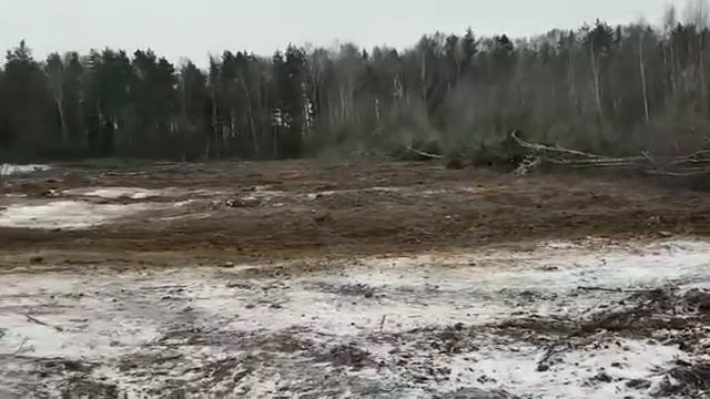 Выкорчевка деревьев трактором т-150.