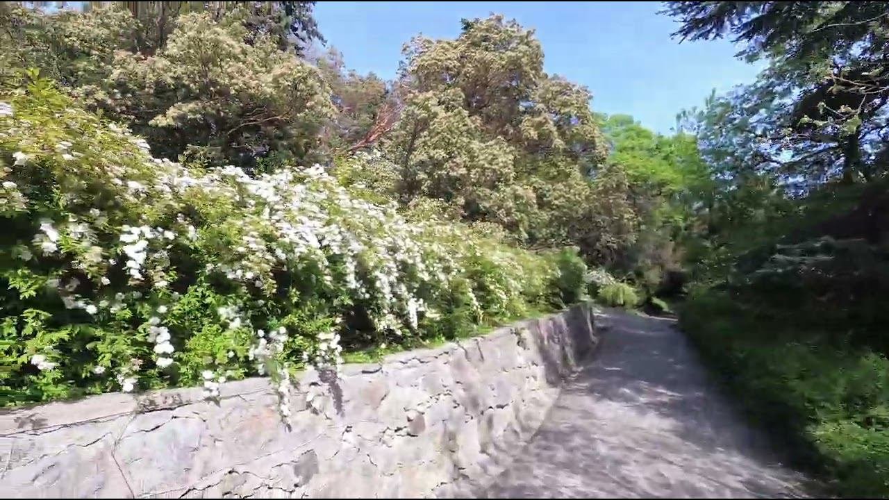 Воронцовский Парк 02
