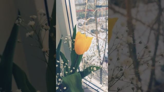 Дорогие девочки! Поздравляю вас с 8 марта! Желаю много хорошего, счастья, здоровья! смотреть онлайн