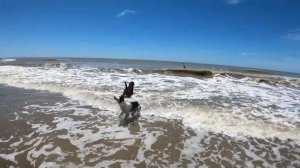 НАШИ РАЗВЛЕЧЕНИЯ НА ПЛЯЖЕ в АРГЕНТИНЕ