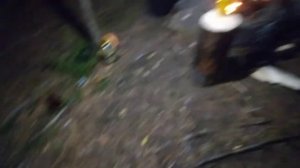 таёжный промысел, кедровой орех 2022