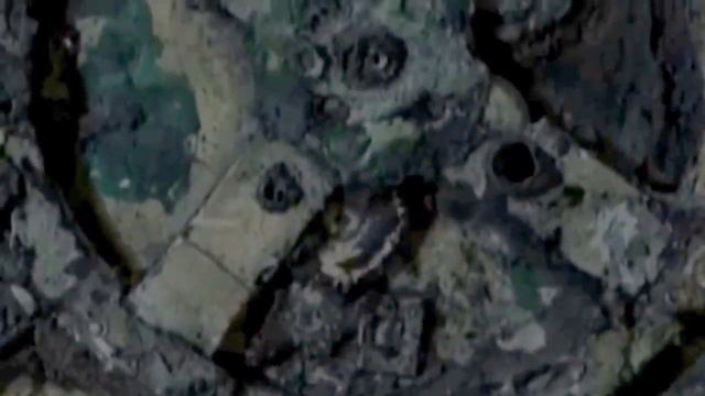 Кто построил Великую Китайскую стену? смотреть онлайн