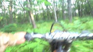 По лесу в поисках грибных мест на эндуро Suzuki TS 200 R