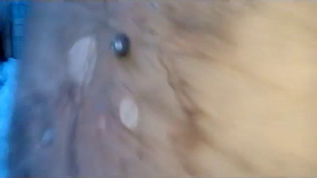 бюджетная лопата и скребок для уборки снега смотреть онлайн