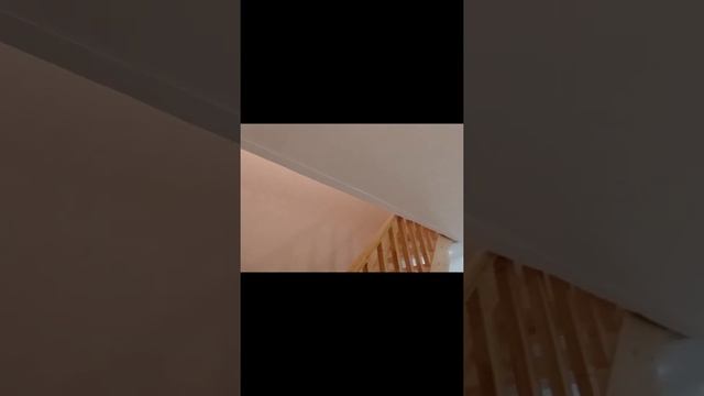 ПРОЕКТ В ЛЕНИНГРАДСКОЙ ОБЛАСТИ #3 [SK-Потолок] смотреть онлайн