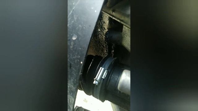 квадроцикл росомаха на болоте