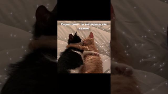 Скриптонит-ты выглядешь как казино смотреть онлайн