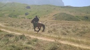 Конные скачки, село Каладжух: второй заезд.