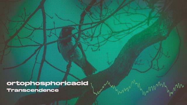 Transcendence