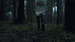 Загадочный лес. Зеленоград.