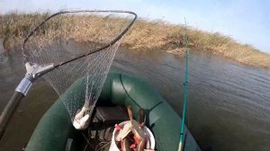 Ишим и рыбалка. Вторая часть. Вертушка от Лаки Джонс опять косит щук.