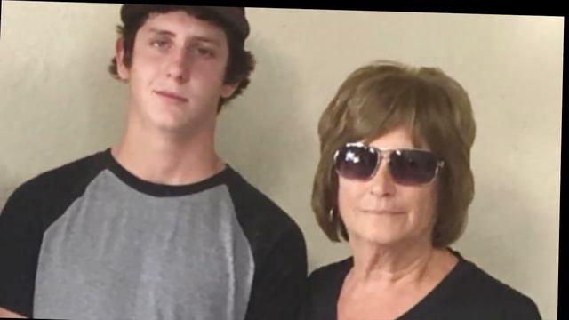 Бабуля верила, что прикормила трех бродячих кошек, но внук раскрыл правду смотреть онлайн