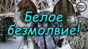 Белое безмолвие!