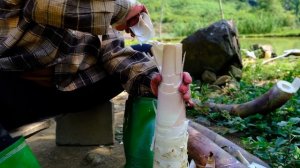 Building a new life episode 71 | Take care of chickens, dogs, ducks, go pick bamboo shoots