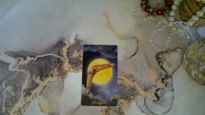 Оракул Полнолуния. Карта 95 - ПОСЛЕДСТВИЕ