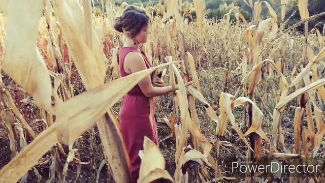 Лучинушка (Ночь темна, темнешенька). Russian folk song by Nadezhda Plevitskaya смотреть онлайн