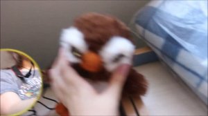 ПЕРЕЕХАЛА?? ЖИВУ ОДНА?? ROOM TOUR\\ОБЩЕЖИТИЕ КФУ\\ДЕРЕВНЯ УНИВЕРСИАДЫ