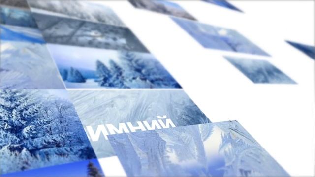 Заставка Зимний лес 1 смотреть онлайн