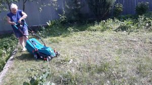 Начинаем на конец то облагораживать участок, косим травку