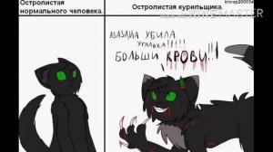 Озвучка приколов и комиксов коты воители ч.5