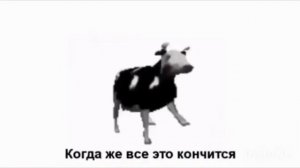 Корова танцует под польскую песню [Оригинал]