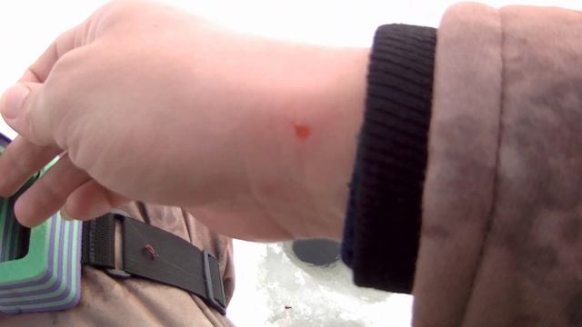 Зимняя рыбалка на мормышку, ловля окуня зимой, рыбалка 2021 смотреть онлайн