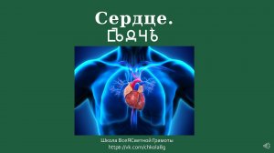 Сердце. ВсеЯСветная Грамота