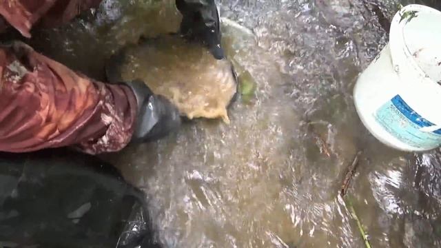 Мою золото минишлюзом!!!