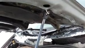 Амортизаторы капота Ниссан Пресаж