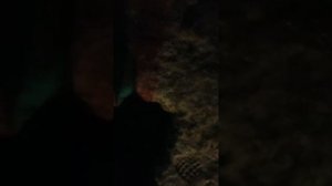 гейство гейское