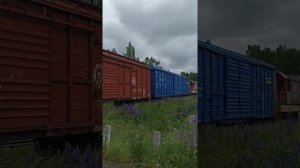 ЧМЭ3 Поезд Дурово - Владимирский тупик. до станции Игоревская