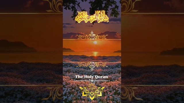 Beautiful Quran Recitation / Best Quran Recitation #islam #quran #muslim #bible #sunnah #jesus