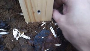 Что будет, если..... ПМ резиноплюй и доска 1 см