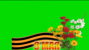 ?С 9 МАЯ. Футаж. Хромакей. Зелёный экран. Chroma Key. Green Screen..mp4