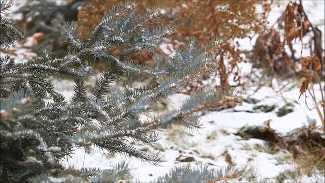 Отшумела осень смотреть онлайн