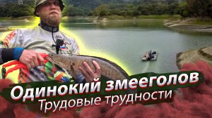 Трудовая рыбалка на водохранилище. Полосатый змееголов на джиг.