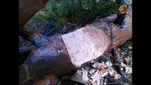 Топор Мангазейского типа