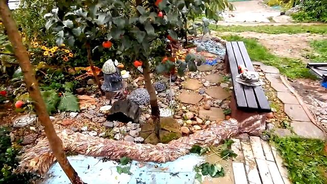 Колоновидная яблоня Валюта. А также Триумф, Московское ожерелье, Останкино и др. Минская область, Р