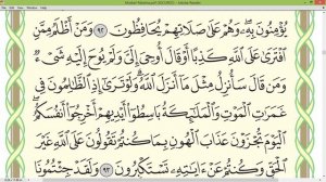 Шейх Айман Сувейд сура Аль Анам стр139