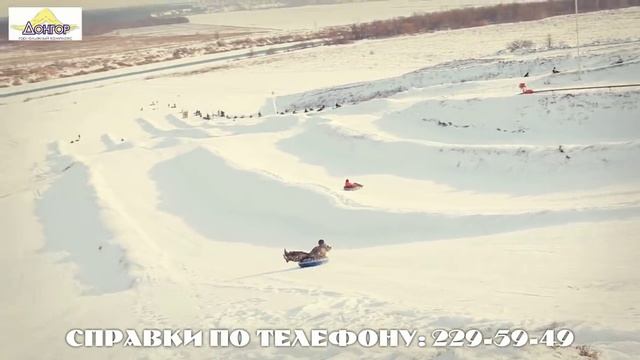 Донгор