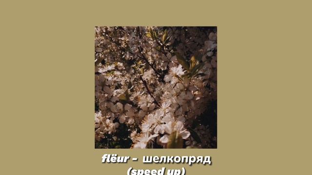 flëur - шелкопряд (speed up) смотреть онлайн