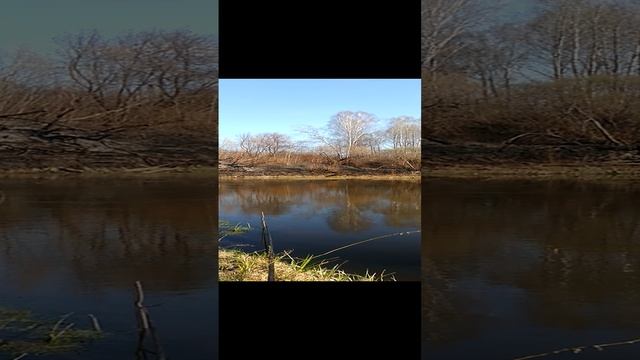 Вот такая вот рыбалка
