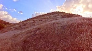 Ascending to the sun, Pigenia village, Cyprus