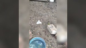 Оксидирование стали в домашних условиях